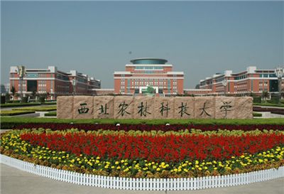 西北农林.jpg
